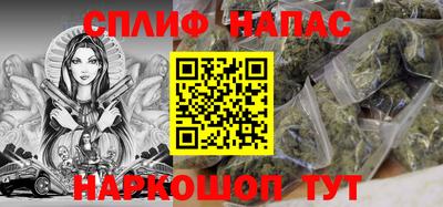 СК Кингисепп