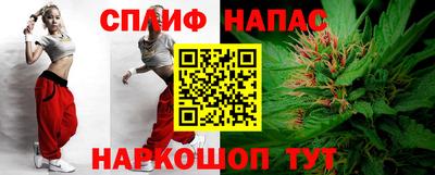 МДПВ Камышлов