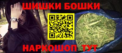 СК Кингисепп
