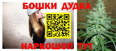 СК Кингисепп