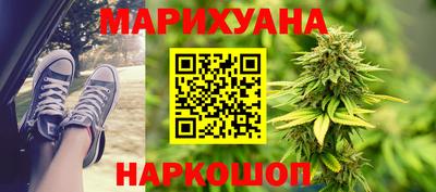 СК Кингисепп