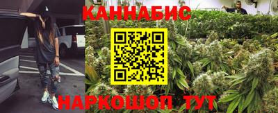 стаф Кимры