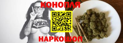 СК Кингисепп