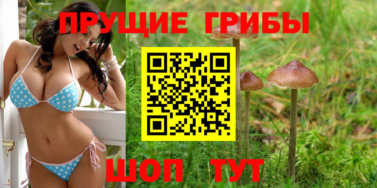 Псилоцибиновые грибы MAGIC MUSHROOMS  купить наркотики сайты  Фрязино  Вход с VPN 